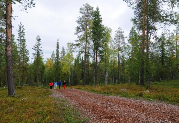 Taruilevi 2 - Villa Levin Taiga - Cabin Close To The Center Of Levi Kittilä Extérieur photo